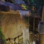 Bloom Design and Landscaping