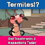 termite treatment sydney