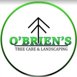 O'Brien's Tree Care and Landscaping