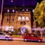 The old swan