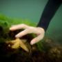 Underwater Video Production