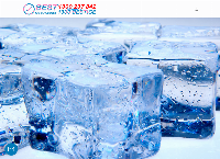 Best Ice Machines's website
