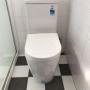 toilet plumber