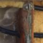 Burst Pipes