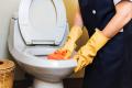Toilet Replacements