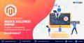 Magento Development
