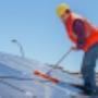 All Green Environmental Solutions