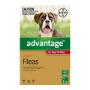 Advantage for Dogs