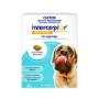 Interceptor Spectrum for Dogs
