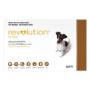 Revolution for Dogs
