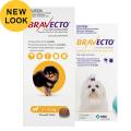 Bravecto for Dogs – A Powerful Flea and Tick Treatment