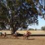 Accommodation Kojonup Western Australia