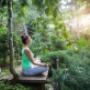 Complementary Therapy