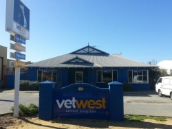 Vetwest Animal Hospitals Bibra Lake