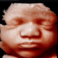 Amazing Scan