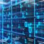 Web-Hosting
