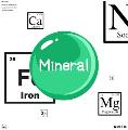 Hair Mineral Analysis