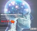 Neurotransmitters Test - Advanced