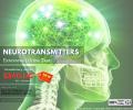 Neurotransmitters Test - Extensive