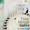 Toxic Metals Test Oral Dental