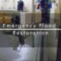 Flood Restoration