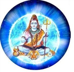 Yogi Astrologer