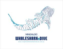 Ningaloo Whaleshark n Dive