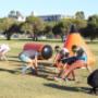 Archery Skirmish Perth