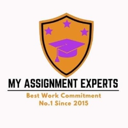 My Assignment Experts