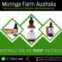 Fresh Organic Moringa Tree Products