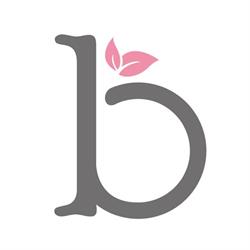 Blossom Family Chiropractic