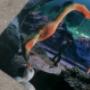 Fine Art Printing