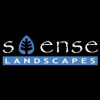 S-ENSE Landscapes