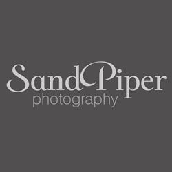 Sandpiper Photography