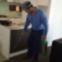 pest control