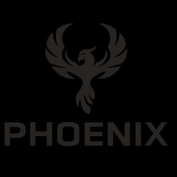 Phoenix Agency