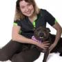 Dog Training Sydney