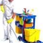 Cleaning service