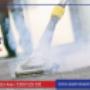 Steam Cleaning Service