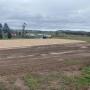 Dressage Arena, equestrian, showjumping, horse