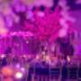 clarence house - best reception venues for wedding function in sydney