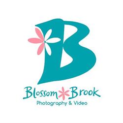 Blossom Brook Studio