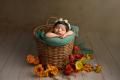 Baby sessions photography