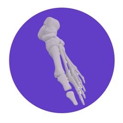 The Foot Pod