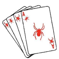 Ace Critter Control