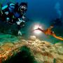 Diver with Weedy Seadragon