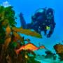 Sydney Weedy Seadragon
