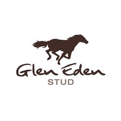 Glen Eden Stud