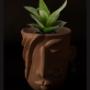 Nari Planter