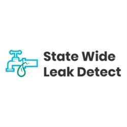 Statewide Leak Detect
